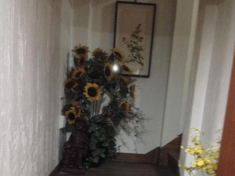 Goodstay Herotel photo 1