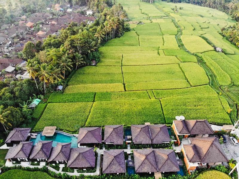 Kayangan Villa Ubud 3