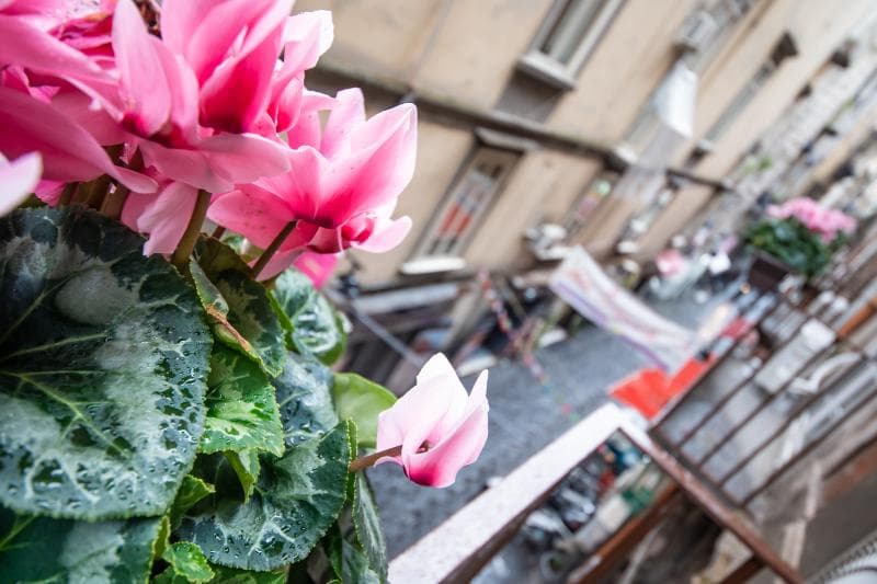 B&B Napoli Time main