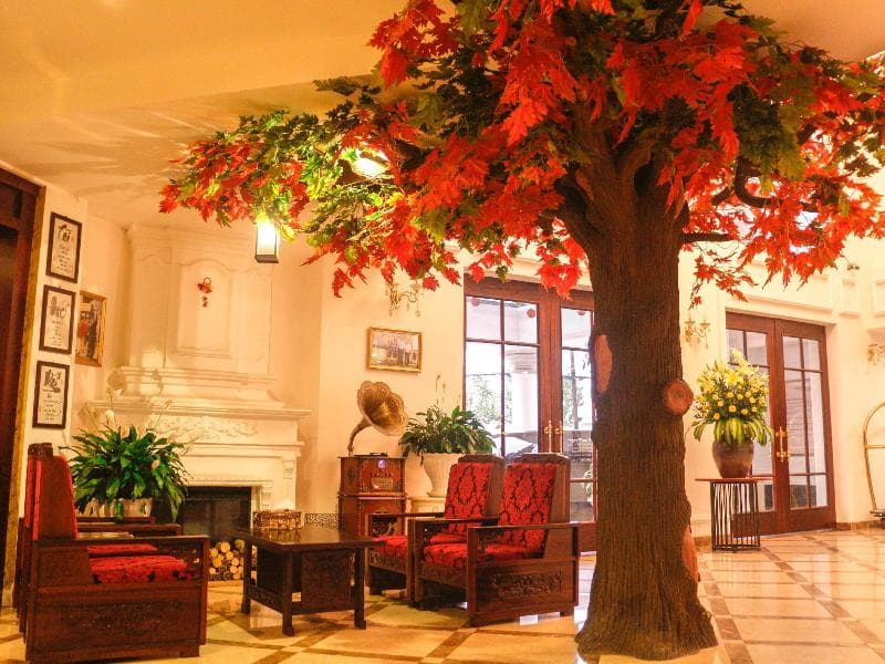 Ngoc Phat Dalat Hotel 5