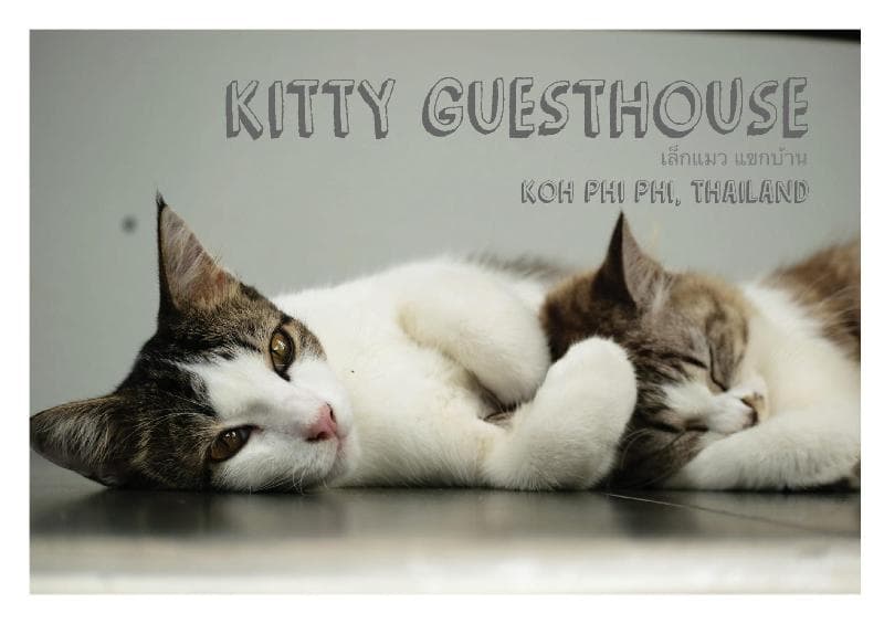 Kitty Guesthouse 3