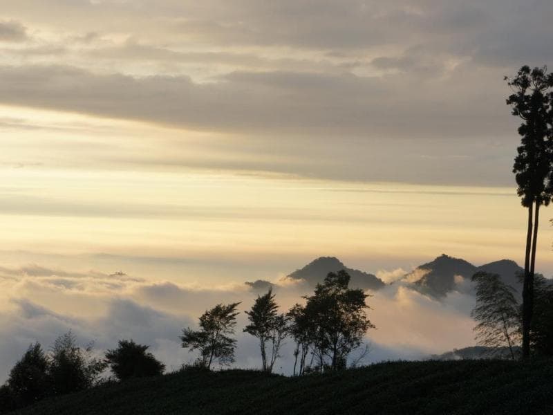 Alishan B&B Yunmingi Aliscenery (Adults Only) 3