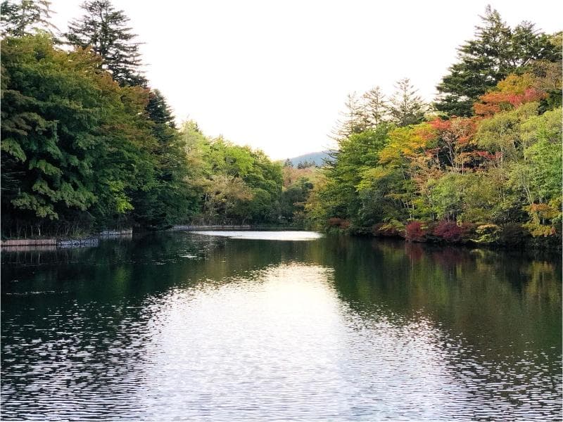 Karuizawa Pension Satou No Nukumori 5