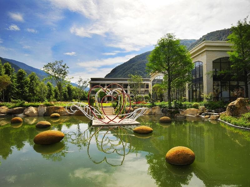 Tai-Yi Red Maple Resort 4