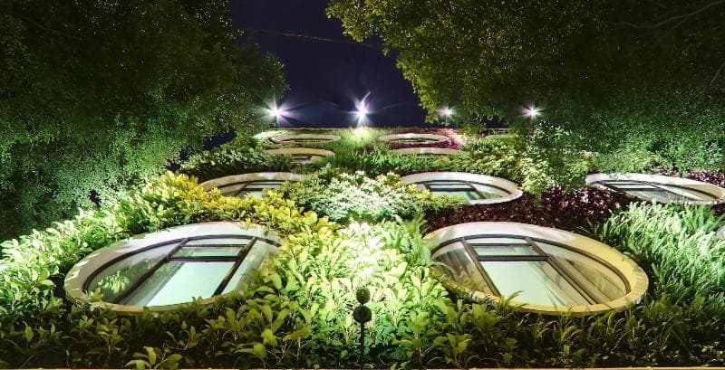 Flora By Crossroads Hotel 3