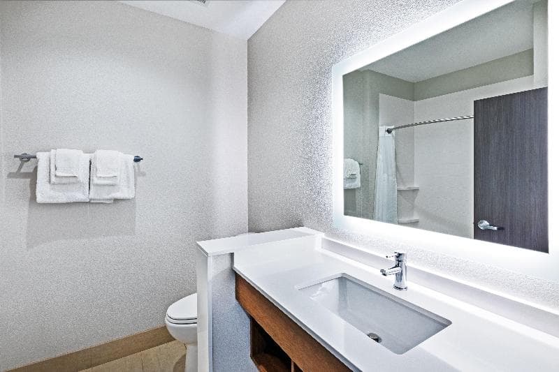Holiday Inn Express & Suites Denton - Sanger 4