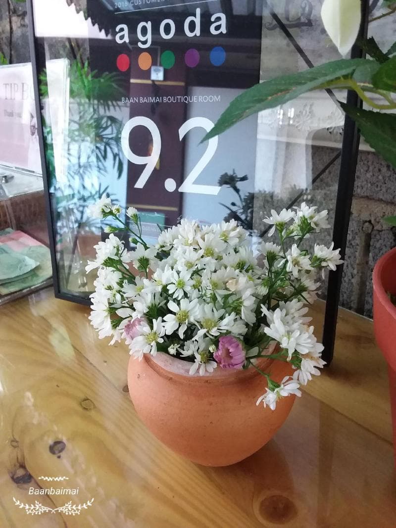 Baan Baimai Boutique Room 5