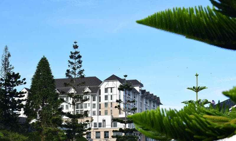 Avillion Cameron Highlands 4