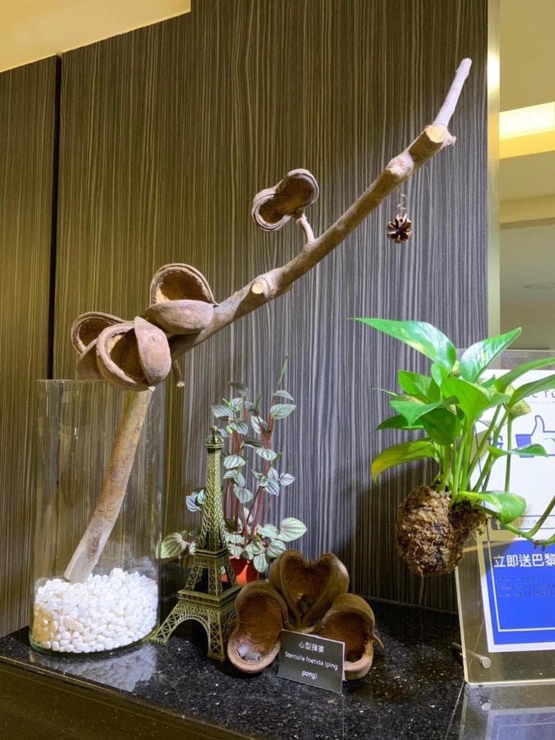 De Reve Express Hotel 3