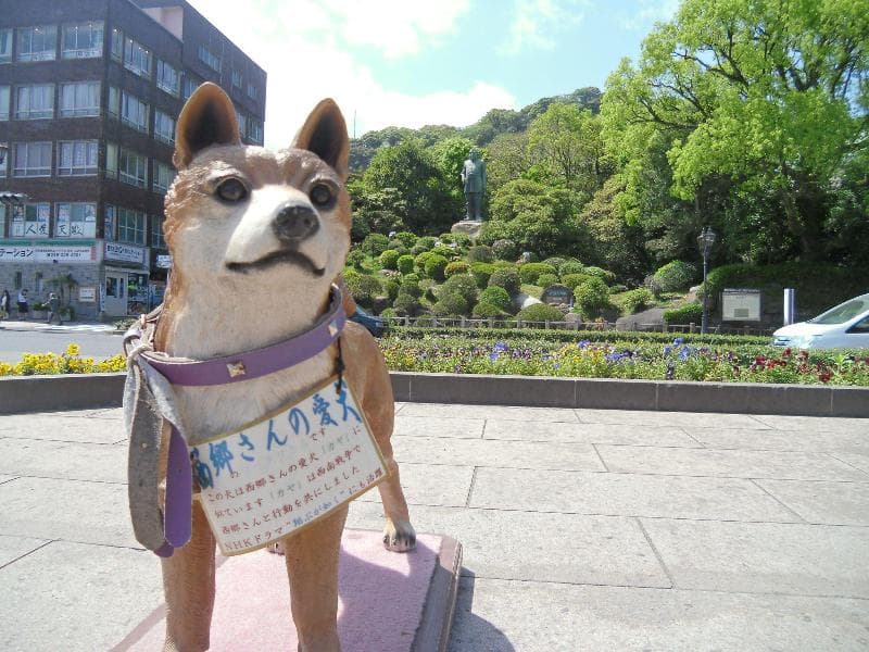Apa Hotel Kagoshima Tenmonkan 4