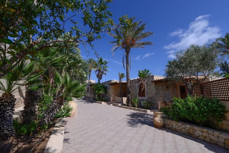 Oasis Hotel Residence And Resort 5