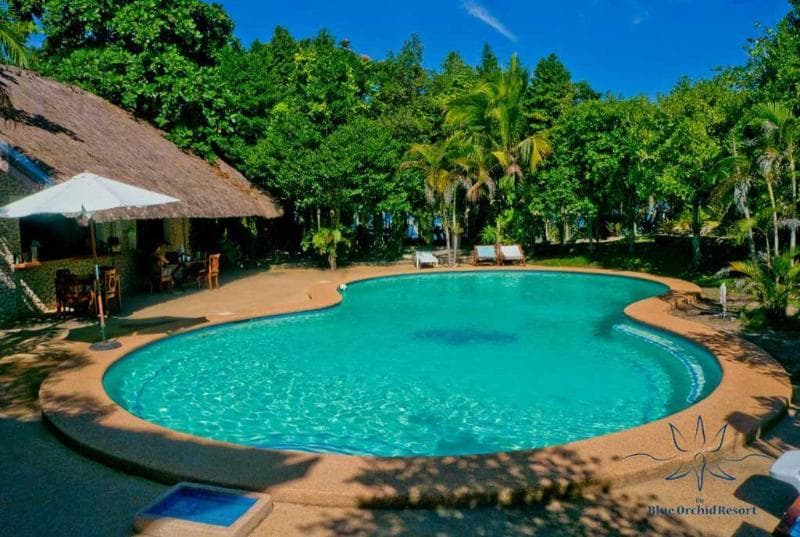 The Blue Orchid Resort 2