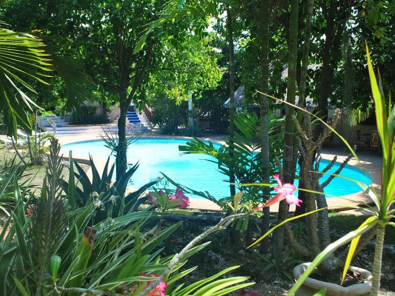 The Blue Orchid Resort 4