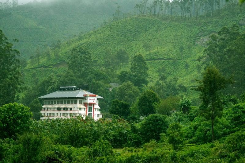 Hillview Munnar 4