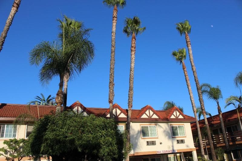Garden Inn photo 1