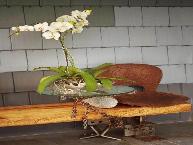 The Grey Boutique Inn main