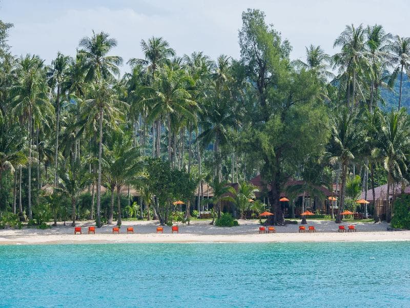 Medee Resort 4
