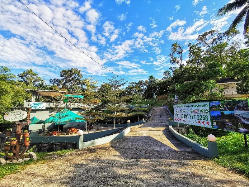 Green Peace Sungai Lembing 3