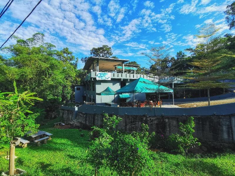 Green Peace Sungai Lembing 5