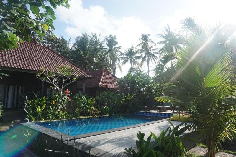 Nyoman Guesthouse 5