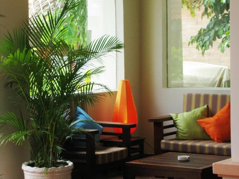Vuon Tra Resort 5