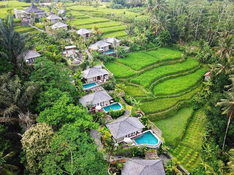 Nau Villa Ubud (Adults Only) photo 1