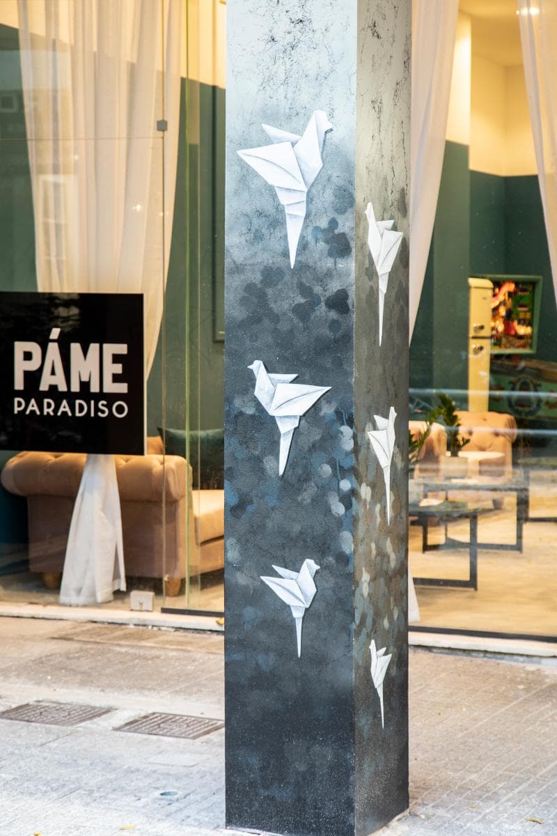 Pame Paradiso photo 1