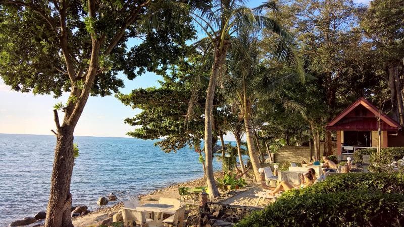 Penny's Resort 3