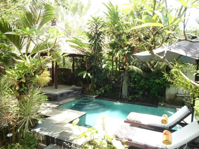 Lily Lane Villas photo 1