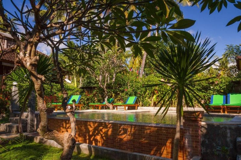 Amed Oasis 2