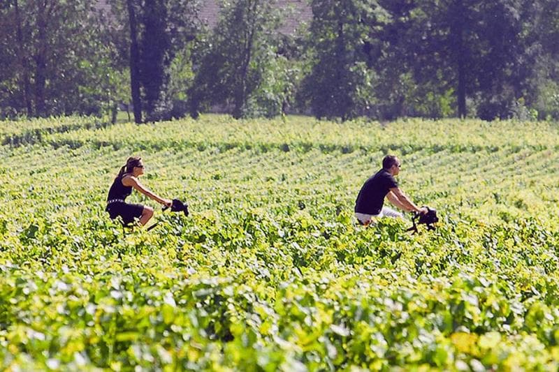 Les Sources De Cheverny 5