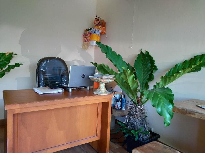 Beji Ayu Homestay 3