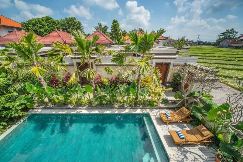 Puri Canggu Villas & Rooms 4