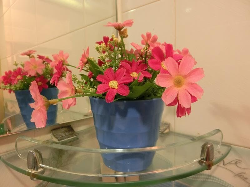 Geo Home Holiday Hotel 4