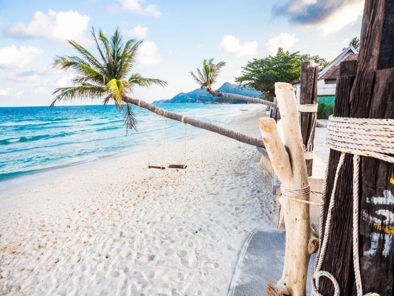 The Samui Beach Resort 3
