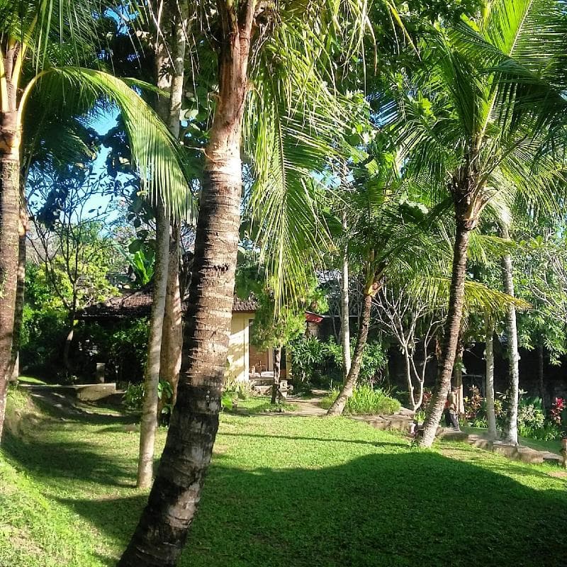Argasoka Bungalows 5