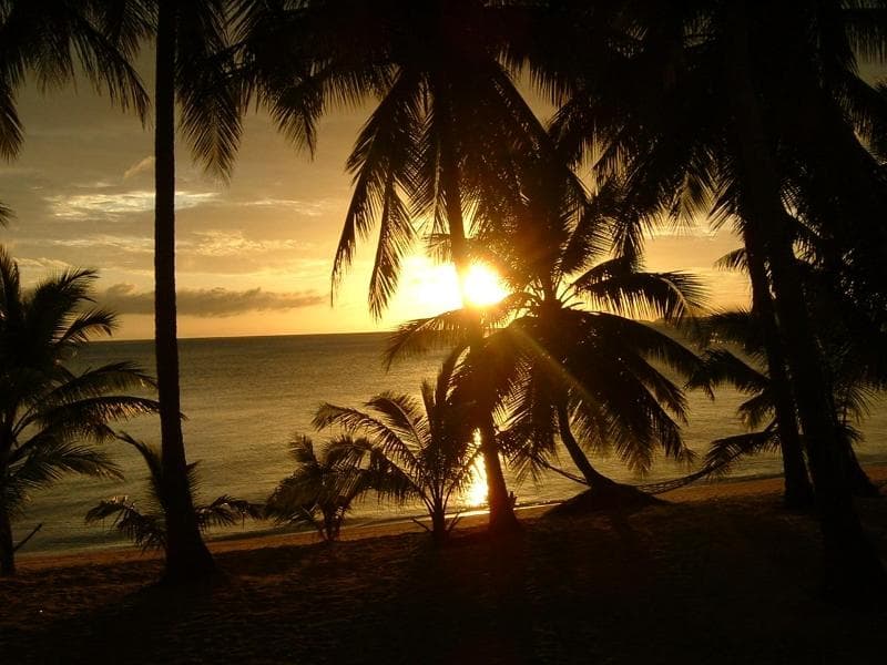 Palm Point Village photo 1