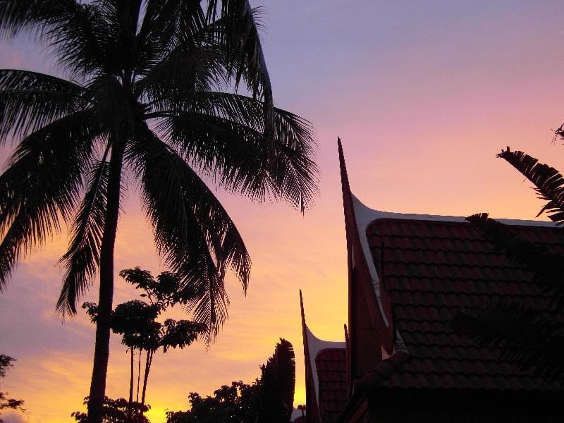 Palm Village 3