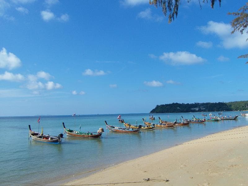 Palm Village 4