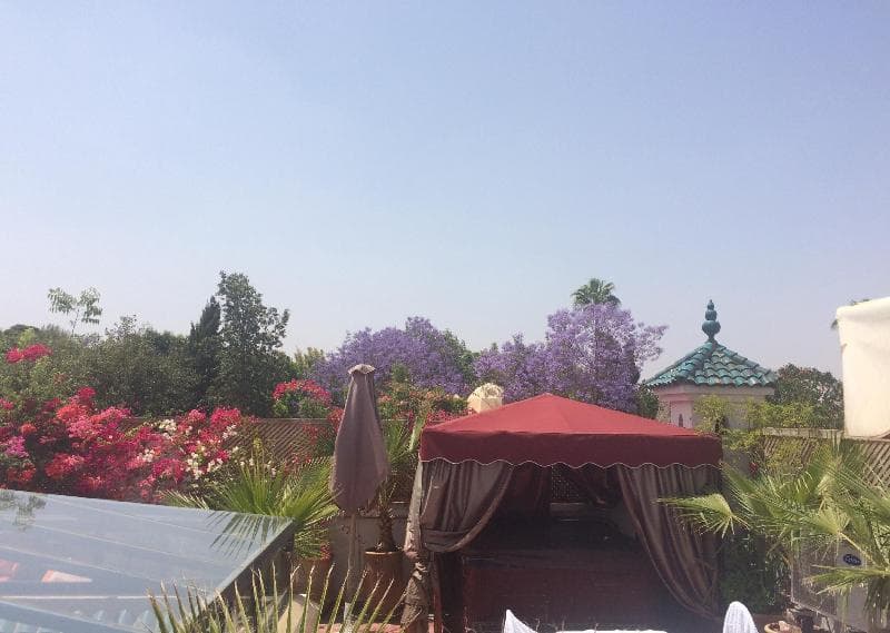 Riad Reves D Orient photo 1