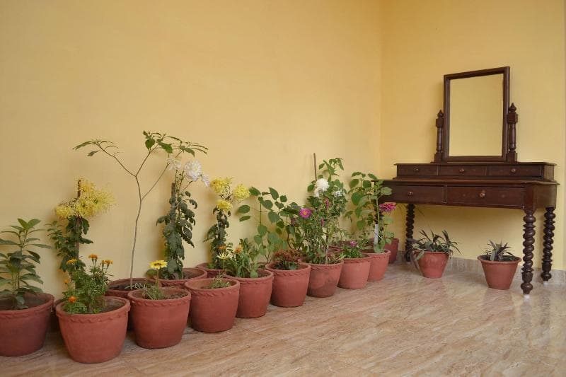Tara Guest House 4
