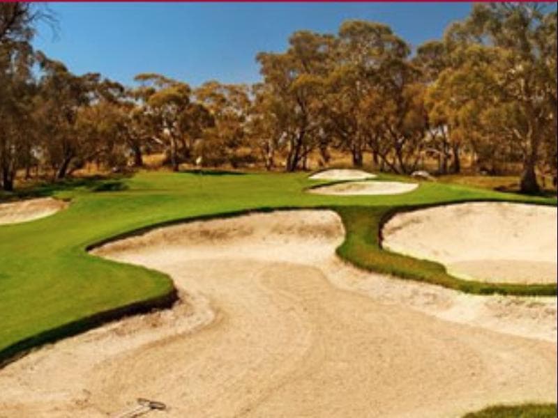 Vine Inn Barossa photo 1