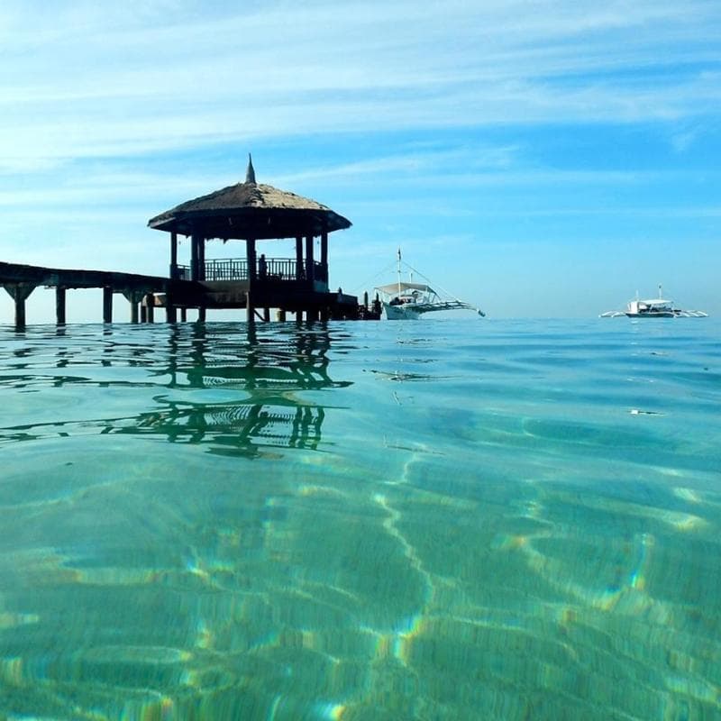 Pulchra Resort Cebu photo 1