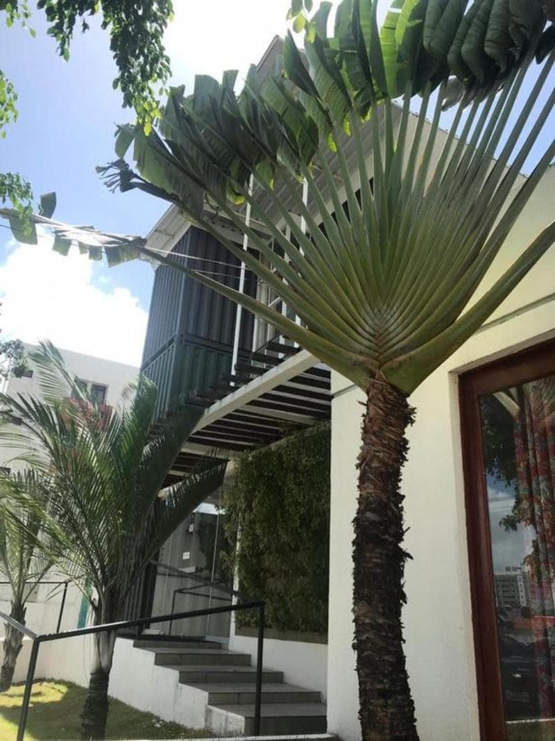 Numar Hotel 3
