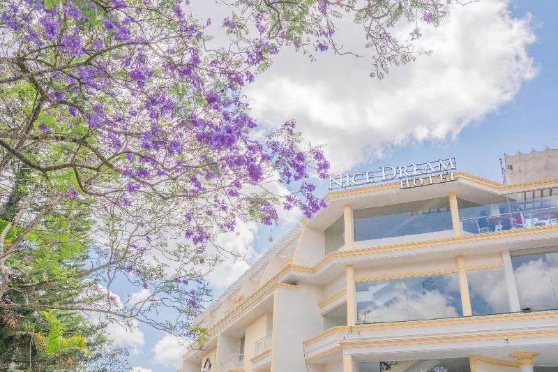 Nice Dream Hotel (Adults Only) 3