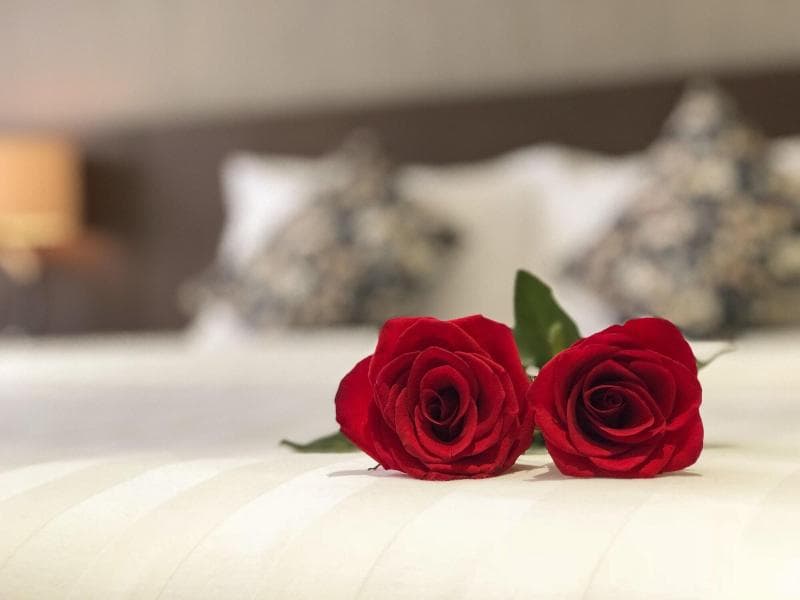 Sunny Serviced Apartment main