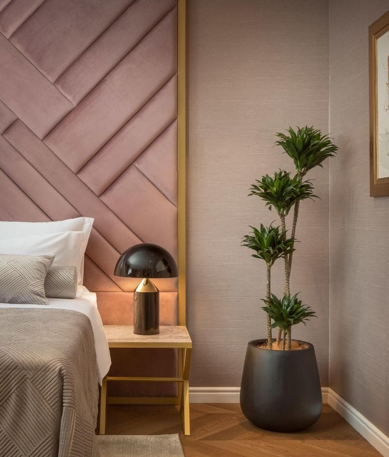 Five Elements Luxury Rooms main