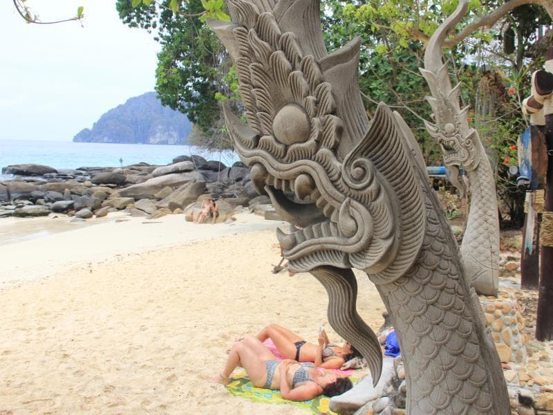 Viking Nature Resort 5
