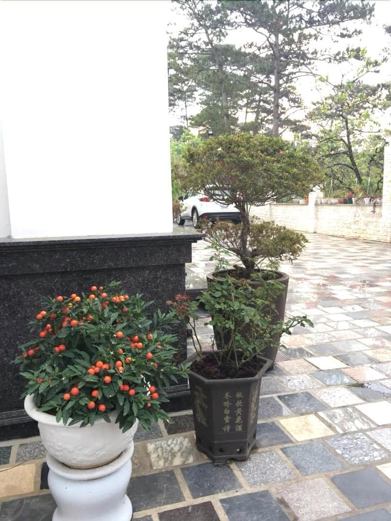Queen Villa Hotel main
