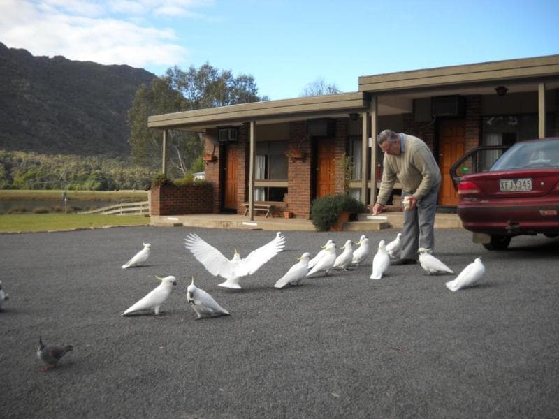 Halls Gap Motel main